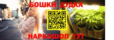 PSILOCYBIN Славгород