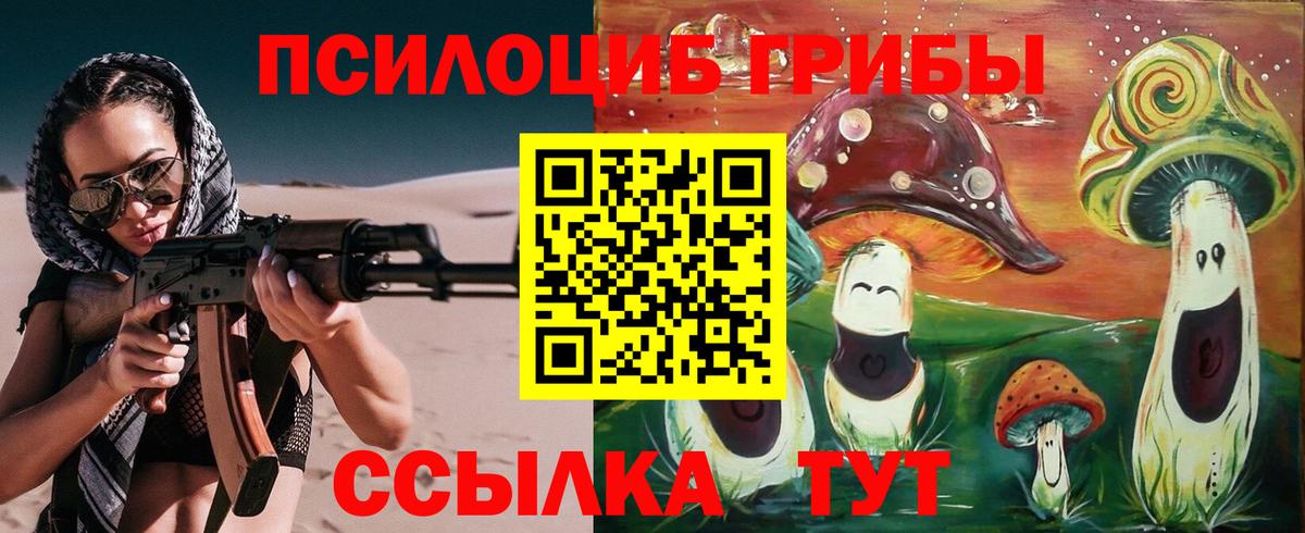 Псилоцибиновые грибы Cubensis  Псилоцибиновые грибы прущие грибы  Вход с VPN  Нурлат 